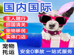 兰旗机场邮寄国际宠物托运 【国
